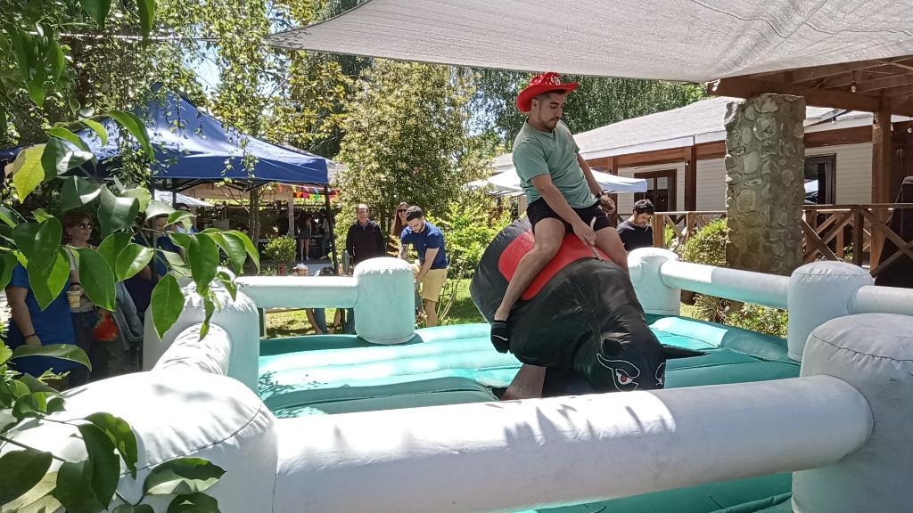 ARRIENDO TOBOGAN CON PISCINA PARA EVENTOS en Chile - Imagen 7