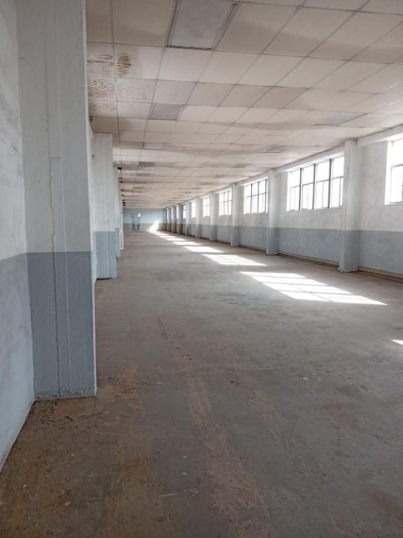 B10-2 – 525m² Factory, Storage, Distribution Space To Let in Johannesburg - Image 5