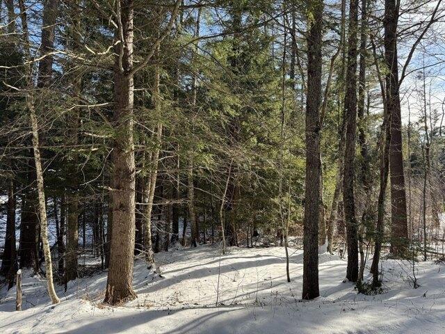 Tunnel Rd, Rowe, Plot For Sale in Troy - Image 1