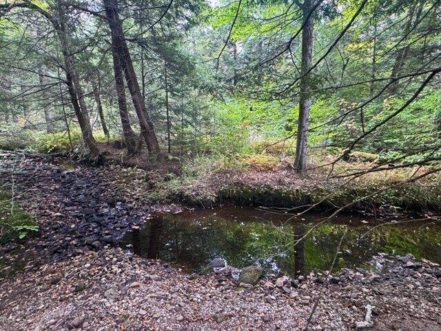 Stone Hill Rd, Rowe, Plot For Sale in Troy - Image 1