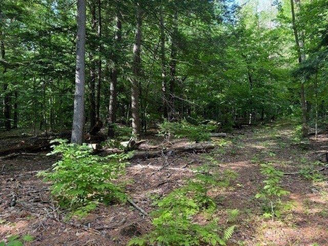 Davis Mine Rd Lot,rowe, Plot For Sale in Troy - Image 1