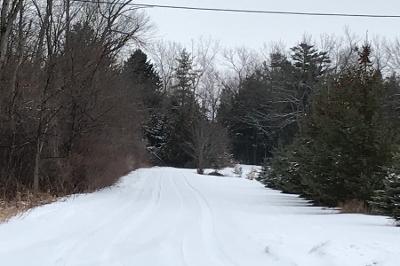 Elk Lake Rd in Green Bay - Image 1
