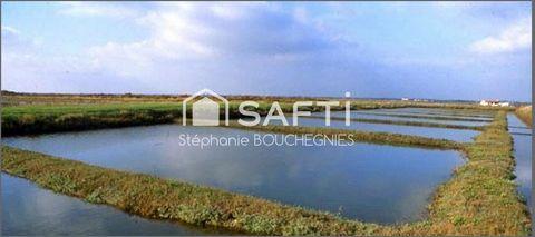 DOMAINE MARITIME RARE ? SITE CONCHYLICOLE & AQUACOLE ? ÎLE … à Rochefort - Photo 1
