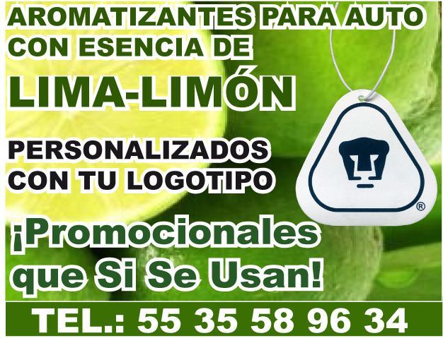 DESODORANTES PARA AUTO PARA CAMPAÑAS CON ESENCIA DE AUTO NUEVO en Tacuba - Imagen 3