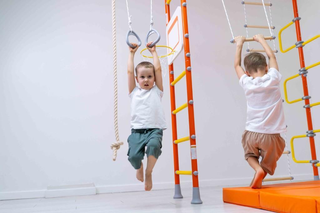 LIMIKIDS - Indoor Home Gym For Kids. Model PEGASUS, monkey bars in United States - Image 7