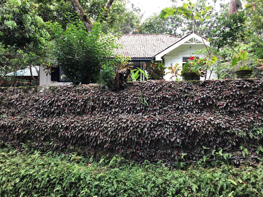 “Green Acres” Heritage Bungalow en France - Photo 1