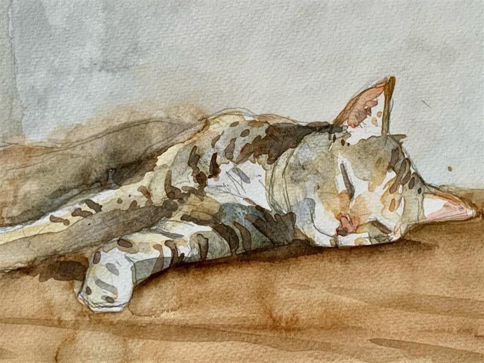Paint Your Pet - Creative Arts Holiday Programme for Tweens … in Lower Hutt - Image 1