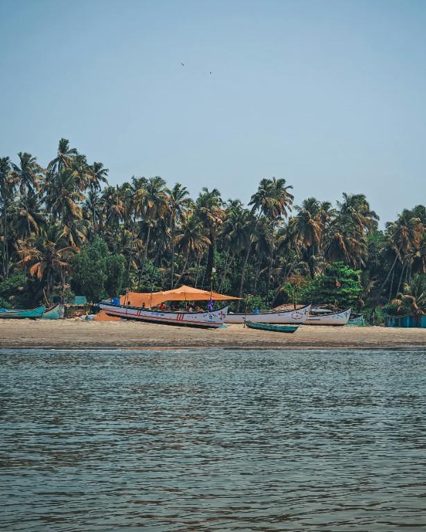 Go Goa at Unbeatable Price in India - Image 4