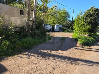 PFERDEHALTUNG MIT GROßEM GRUNDSTÜCK in Merzig - Bild 1