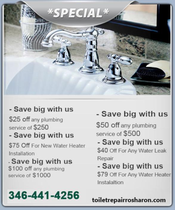 Toilet Repair Rosharon TX in Sugar Land - Image 2