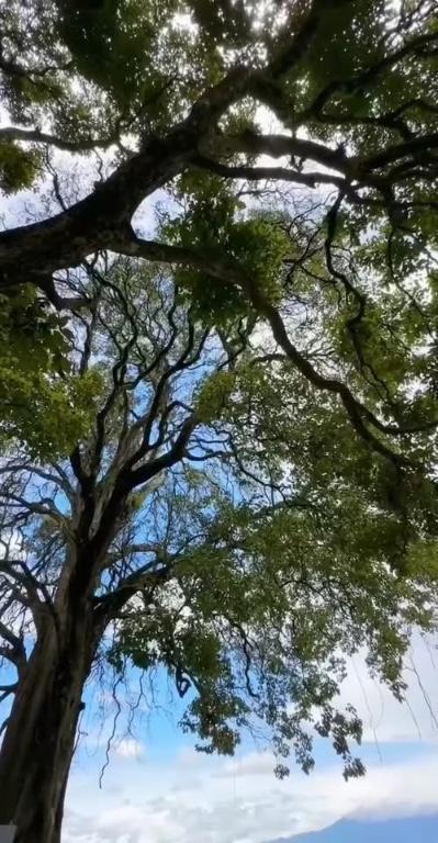 SE VENDEN Lotes, Tres Ríos, Cartago, Costa Rica en Oreamuno - Imagen 4