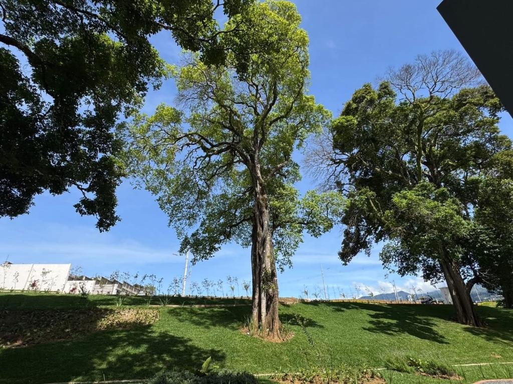 SE VENDEN Lotes, Tres Ríos, Cartago, Costa Rica en Oreamuno - Imagen 3