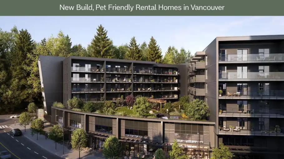 Fynn in New Westminster - Image 1
