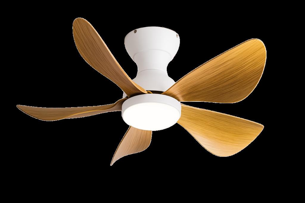 Premium Visual Appeal Designer Fan in India - Image 1