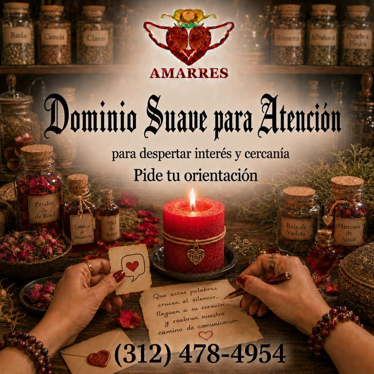 Dominio Suave para Atención en Chicago en los Estados Unidos - Imagen 1
