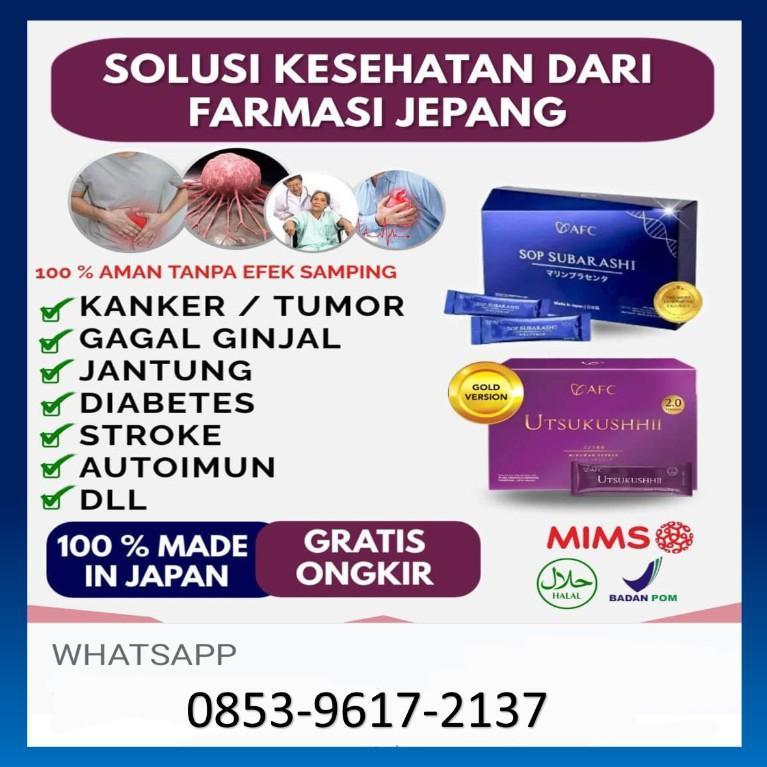 Distributor SOP Subarashi Wamena in Indonesia - Image 2