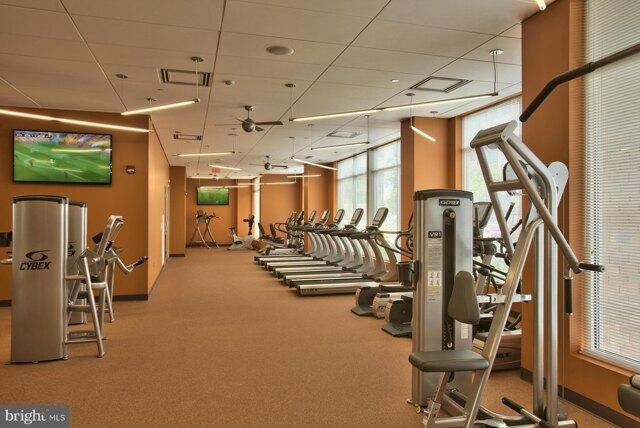Dorr Ave Unit,fairfax, Home For Rent in Reston - Image 1