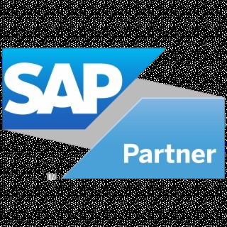 Professional SAP Course in Dubai for Future Success in India - Image 1