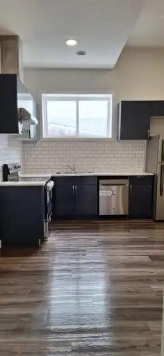 Basement - Immediately Available in Canada - Image 1