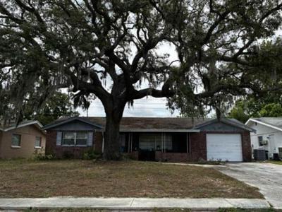 Queens Rd in Spring Hill - Image 1
