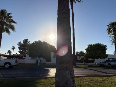 S Litchfield Rd Aparment 211 in Phoenix - Image 1