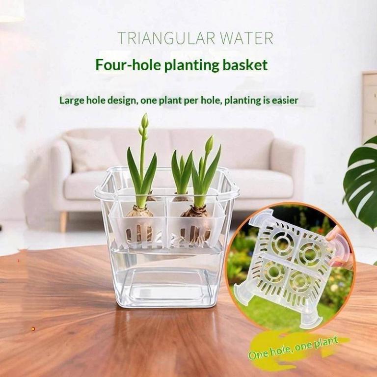 Trillionca Hydroponic Containers With Breathable Support … in Bishan - Image 1