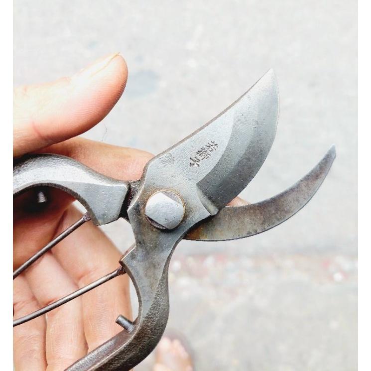 Japanese pruning shears in Toa Payoh - Image 1