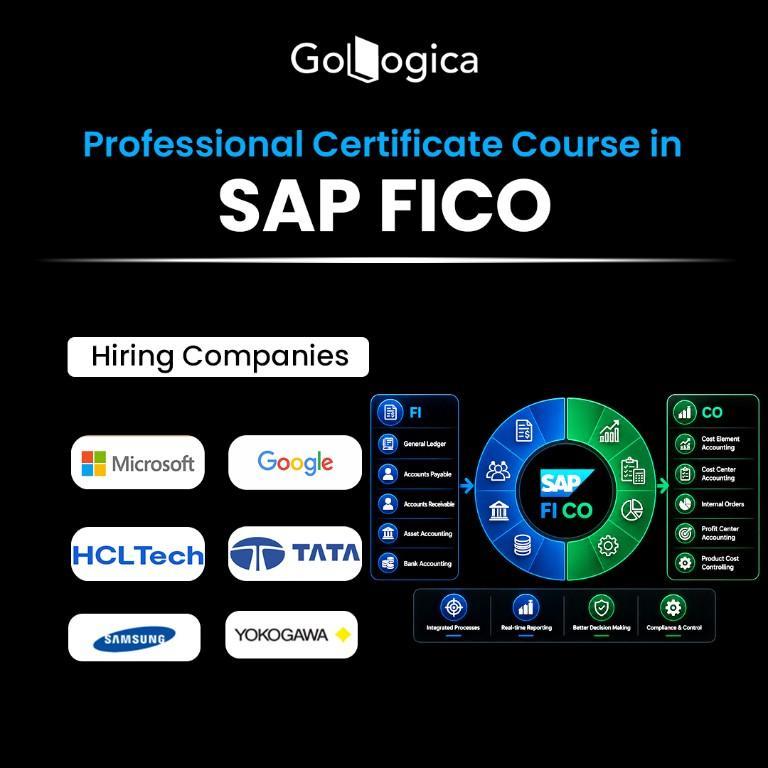 SAP FICO Training – Master Financial Accounting & Controlli in Garia - Image 1