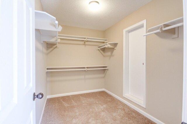 Terraceside Cir, Clarksville, Home For Rent in Clarksville - Image 1