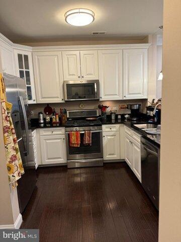 Doc Berlin Dr Unit,silver Spring, Condo For Rent in Gaithersburg - Image 1