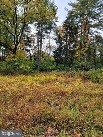 Princeton Kingston Rd, Princeton, Plot For Sale in New Brunswick - Image 1