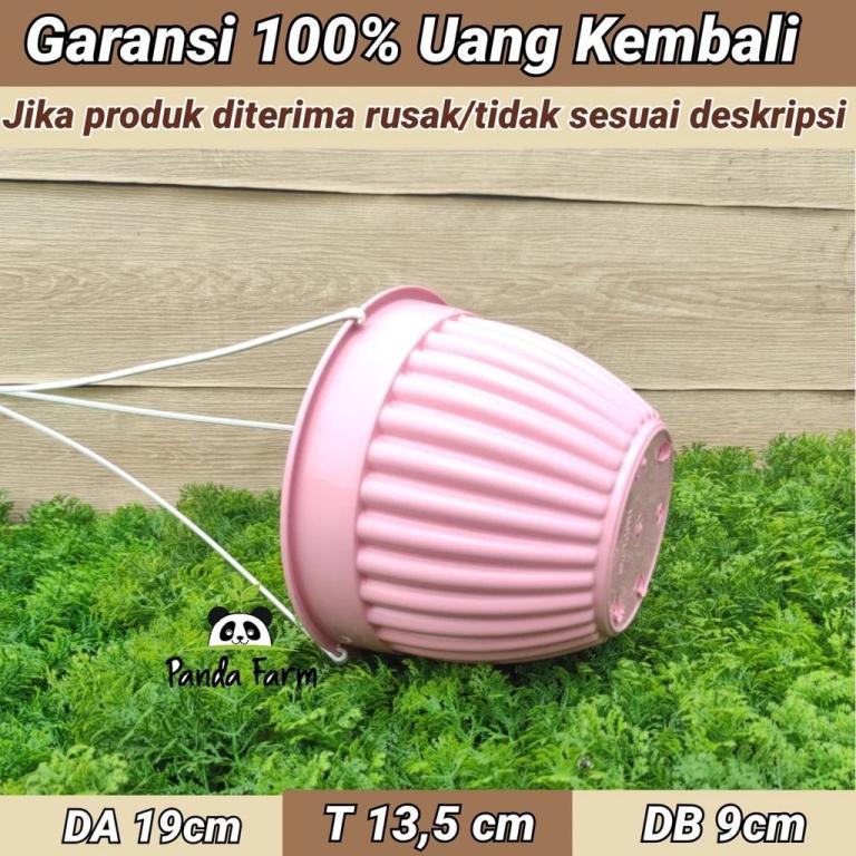 GANTUNGAN Beautiful Colored Shell Hanging Pot plus hanger - … in Sembawang - Image 1