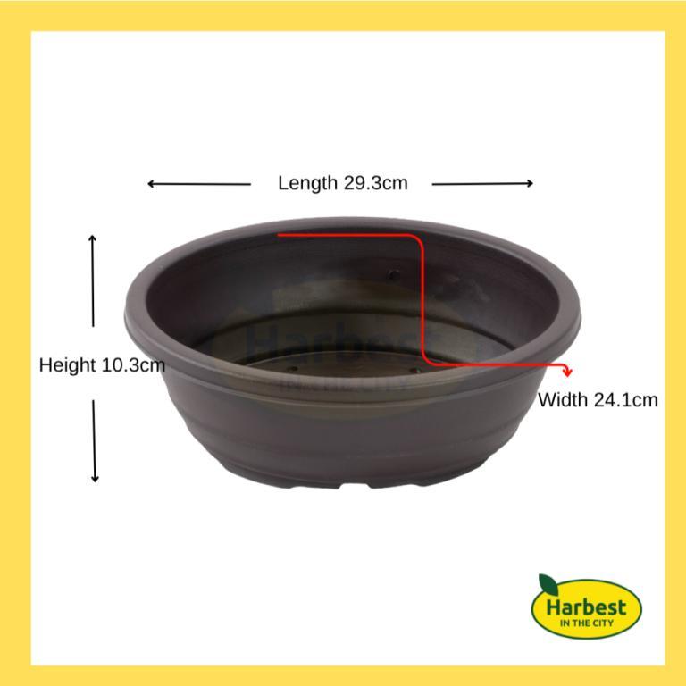 Planting Container - Wide Edge Bonsai Pot Coffee Color in Novena - Image 1