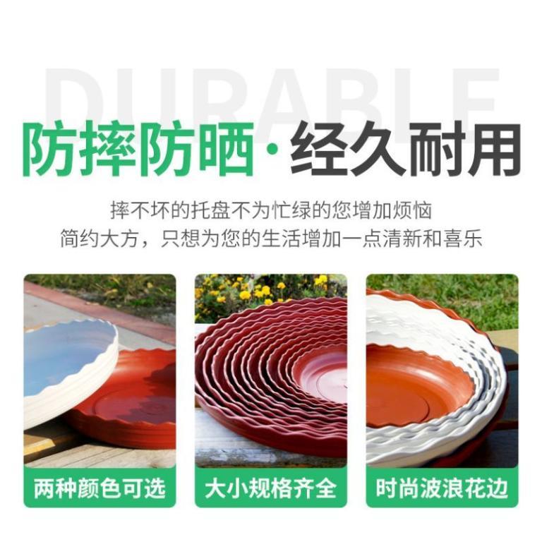 Thick Flower Pot Base in Novena - Image 1