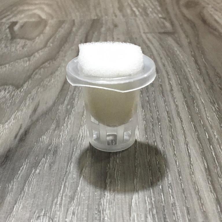 [SG In Stock] Net Cup / Net Pot [10pcs/set] - White … in Novena - Image 1