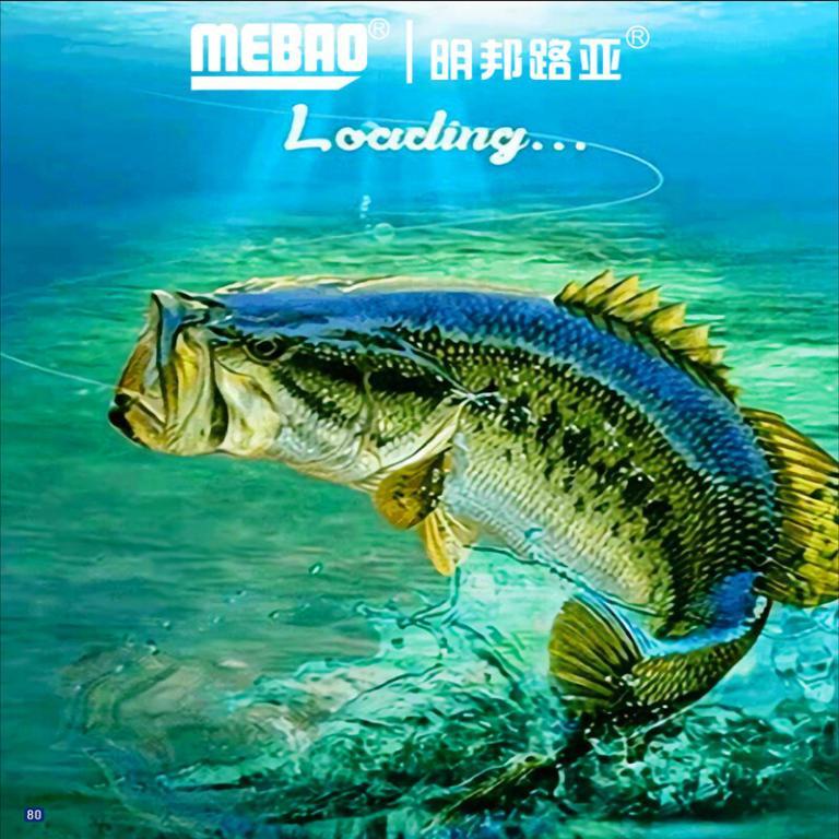 Fishing Telescopic Buckle Retractable Return Anti-Drop Rope … in North-Eastern Islands - Image 1