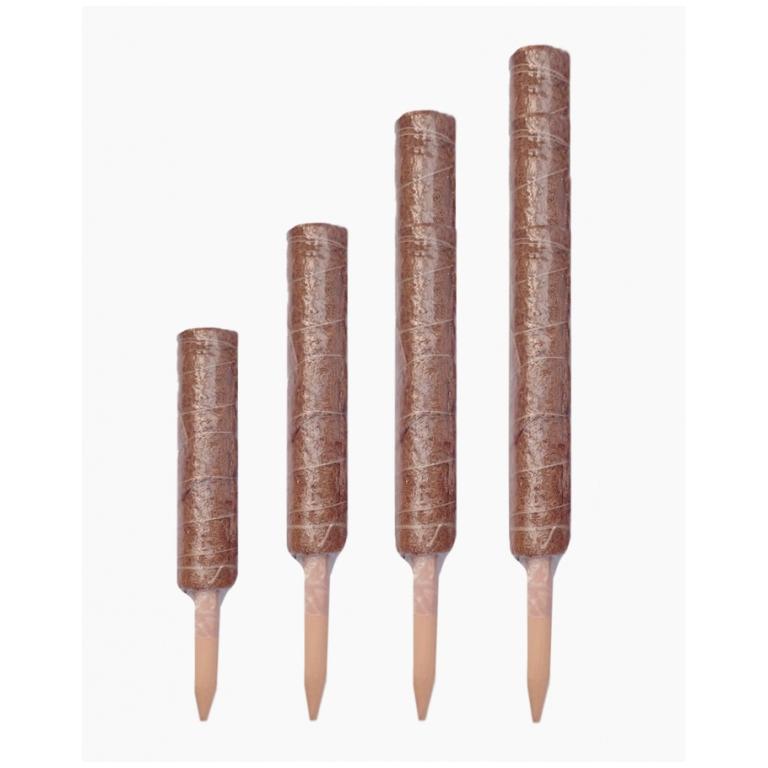 Extendable Coir Moss Plant Support Pole Coco Pole in Sembawang - Image 1