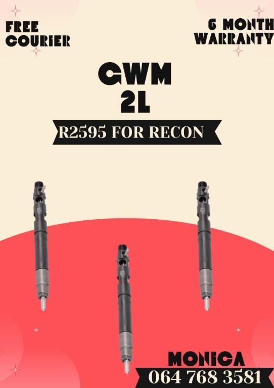 GWM 2L Diesel Injector Repairs With Fast Turnaround, FIX TODAY in Durban - Image 2