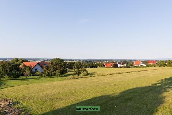Landwirtschaftsfläche in Merzig - Bild 1