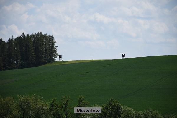 Landwirtschaftsflächen in Ingelheim am Rhein - Bild 1