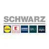 Junior Consultant Cyber Security (gn) in Neckarsulm - Bild 1