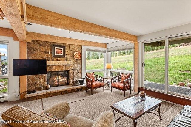 Wood Rd Unit,snowmass Village, Condo For Rent in Grand Junction - Image 1