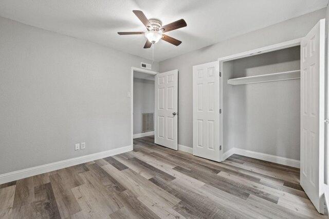 Branch Hollow Dr, Plano, Home For Rent in Plano - Image 1