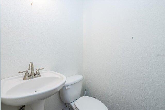 Curlew Rd, Dunedin, Home For Rent in Clearwater - Image 1