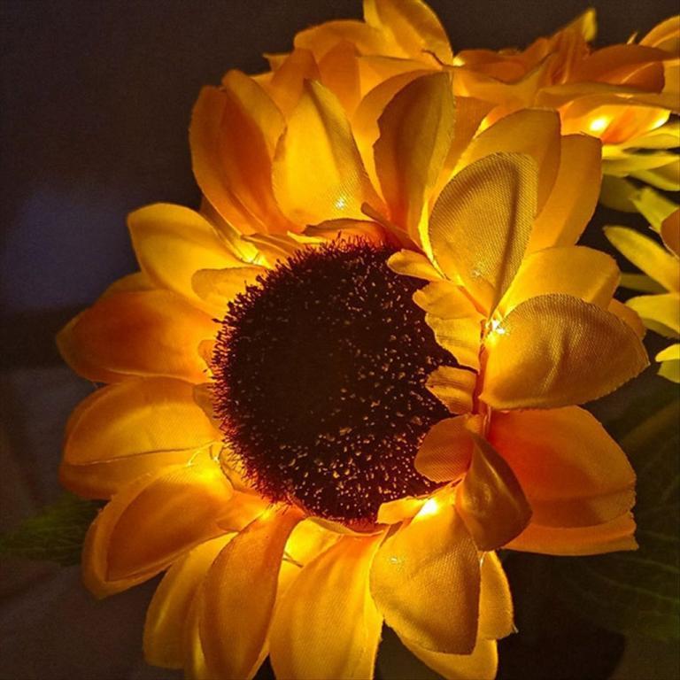 A Rechargeable Sunflower LED Simulation Night Light … in Malaysia - Image 1