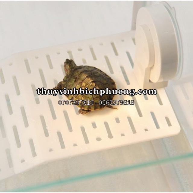 TURTLE FARM TOY - PLASTIC FLOOR FOR SELLING TURTLES in Petaling Jaya - Image 1