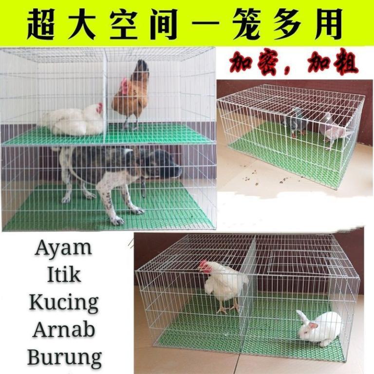 [[ READY STOCK ]] Rabbit/Chicken/Pigeon/Small Pets Breeding … in Petaling Jaya - Image 1