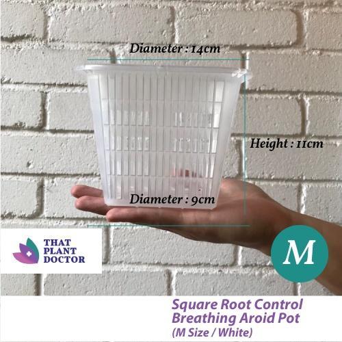 Square Root Control Breathing Pot (WHITE) (M Size) … in Novena - Image 1