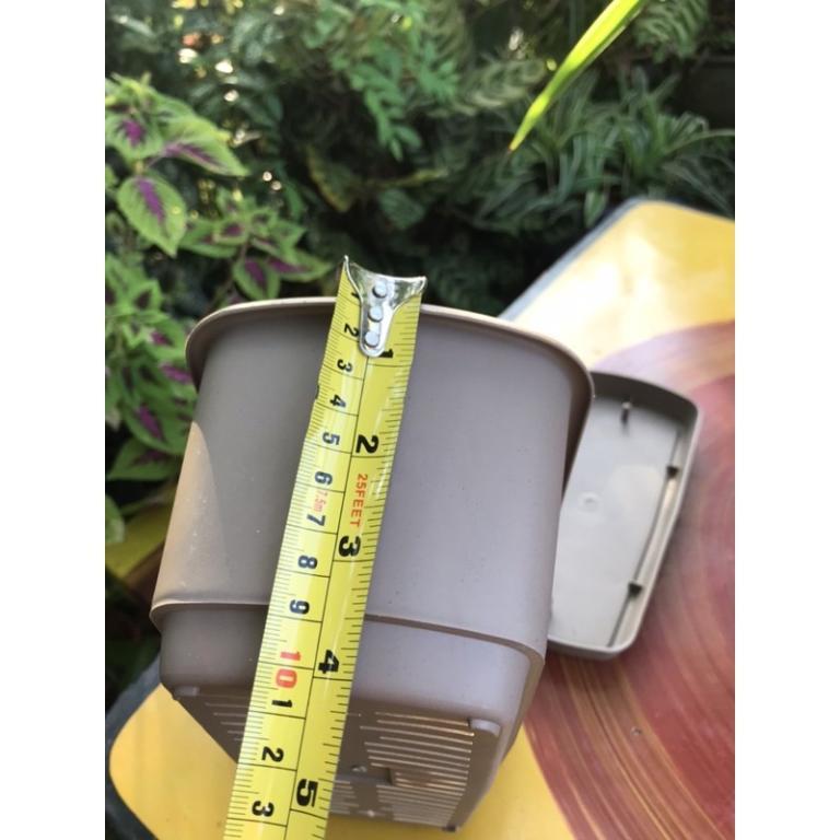 (READY STOCK)PASU BUNGA PLASTIK BERLAPIK MODEN UNTUK … in Taman Johor Jaya - Image 1