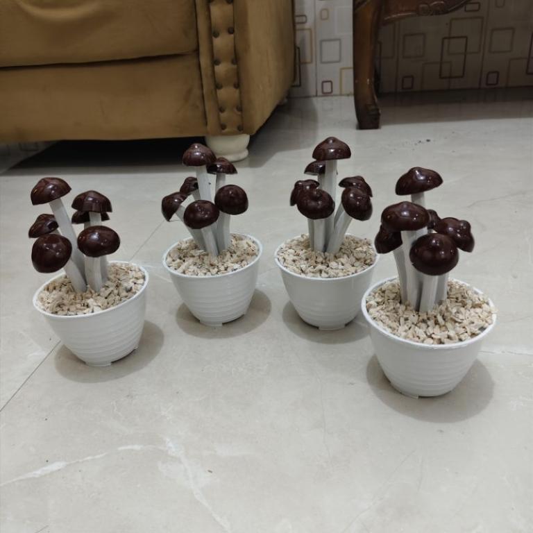 ARTIFICIAL MUSHROOMS, LATEST DECORATION, PLASTIC VASE in Johor Bahru - Image 1